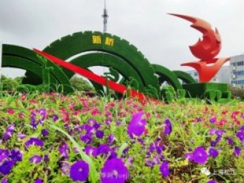 上海松江这里的花坛、花境“上新”啦!特色景观升级!